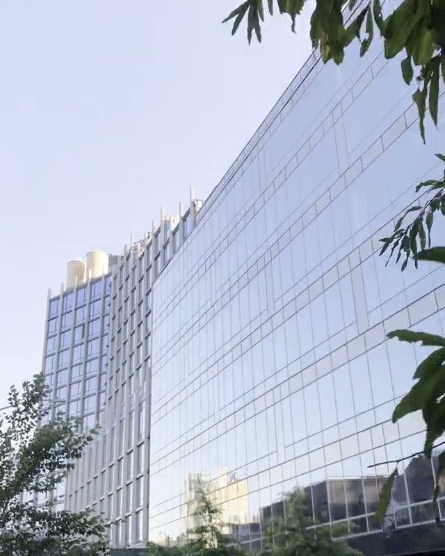 The Mink Building, Harlem