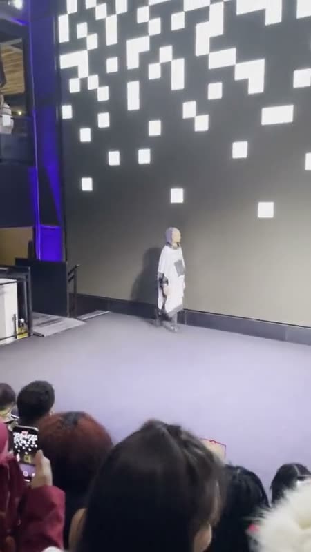 A runway walk at The Menagerie Manifesto